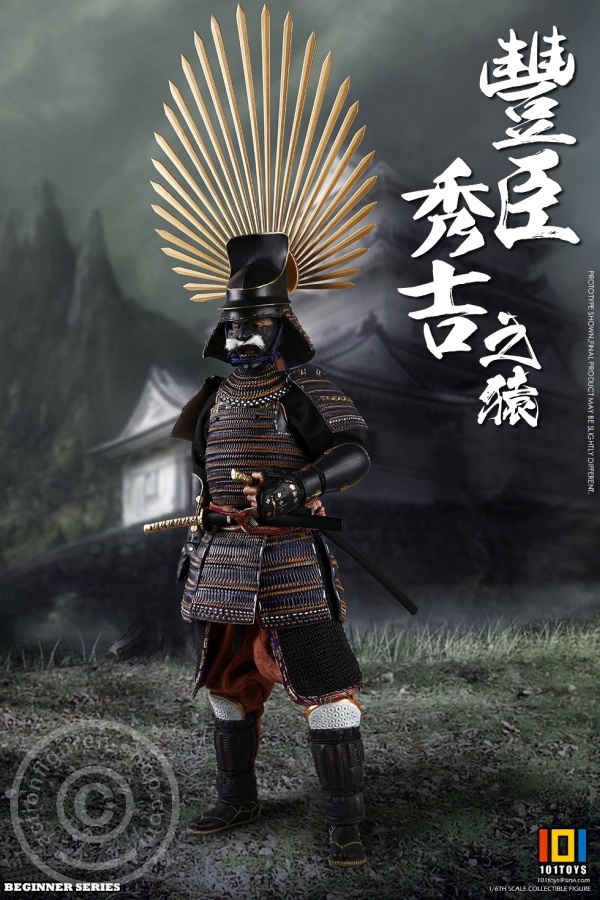 Toyotomi Hideyoshi (EXCLUSIVE)