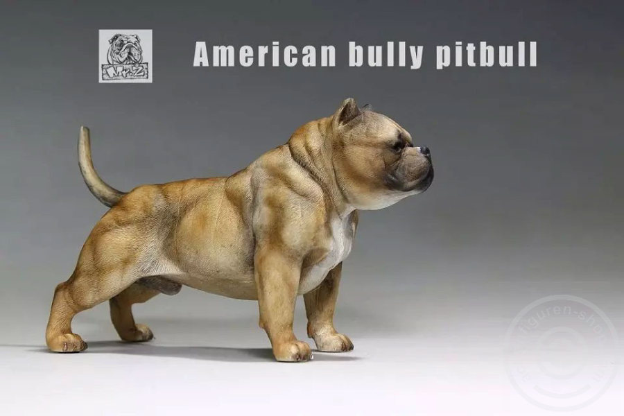MRZ001-04 American Bully Dog - dark color