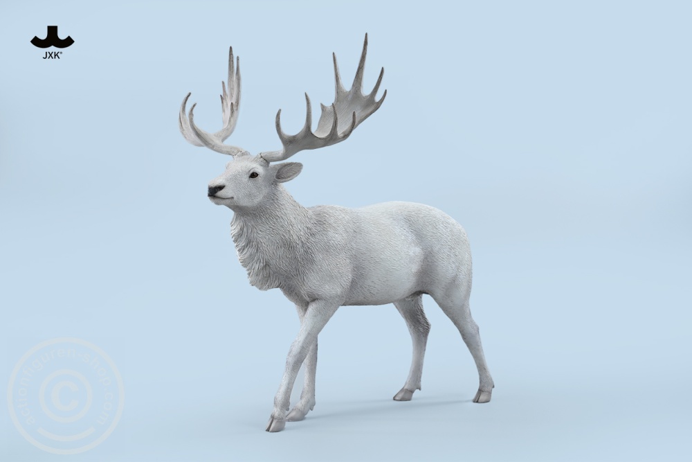 Reindeer - Color C