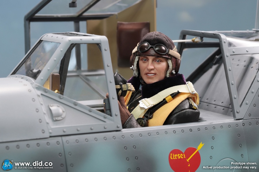 Erich Hartmann - WWII German Luftwaffe Ace Pilot - in 1/6 scale Erich Hartmann - WWII German Luftwaffe Ace Pilot - in 1/6 scale