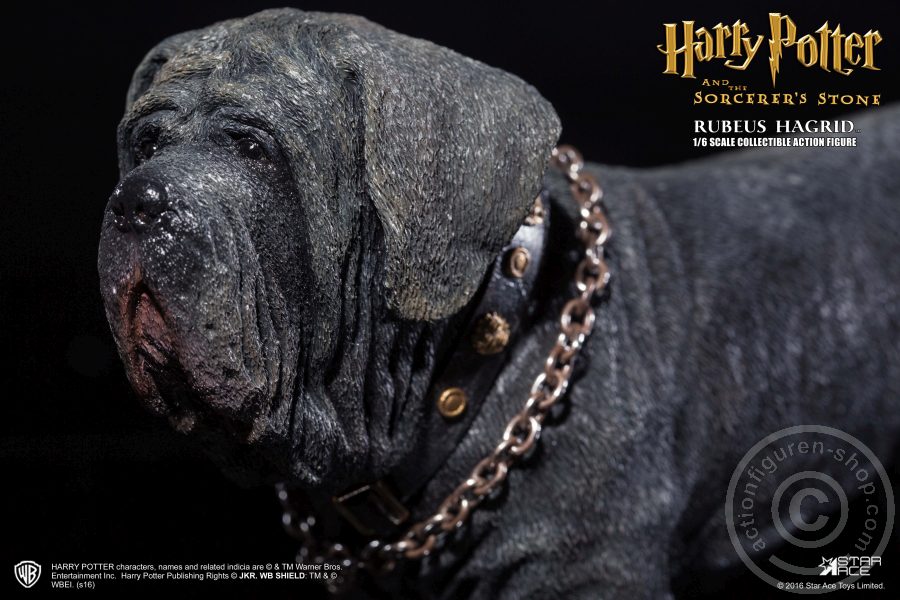 SA024-11EN7raFF6hap53 Rubeus Hagrid (Deluxe) - Harry Potter u.d. Stein der Weisen
