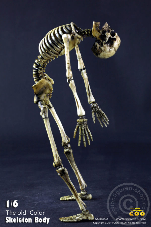 The Skeleton in 1:6 - Old Color