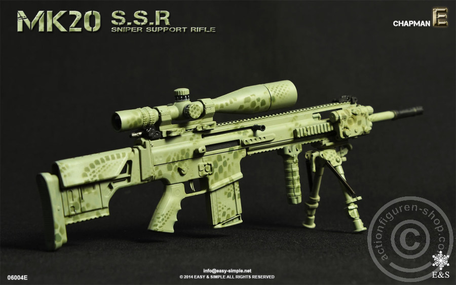 MK20 Sniper Support Rifle - E