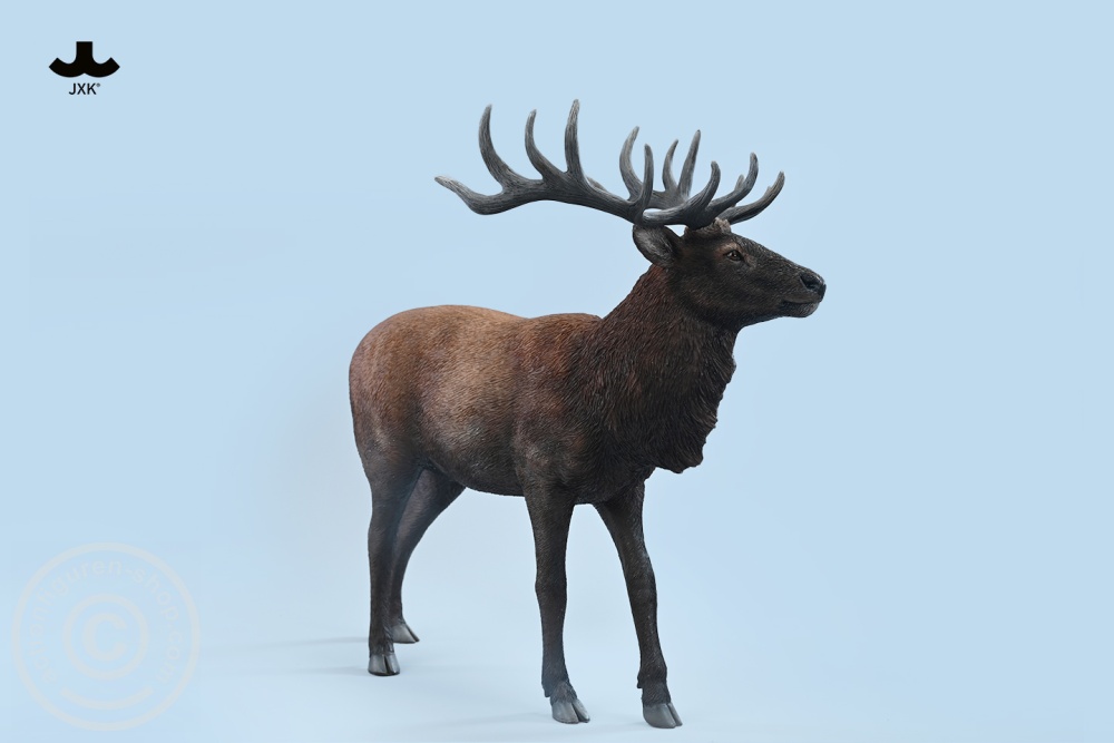 Reindeer - Color A Reindeer - Color A