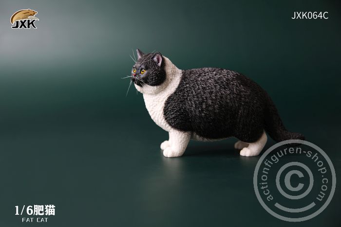 JxK064C-01 Fat Cat - C