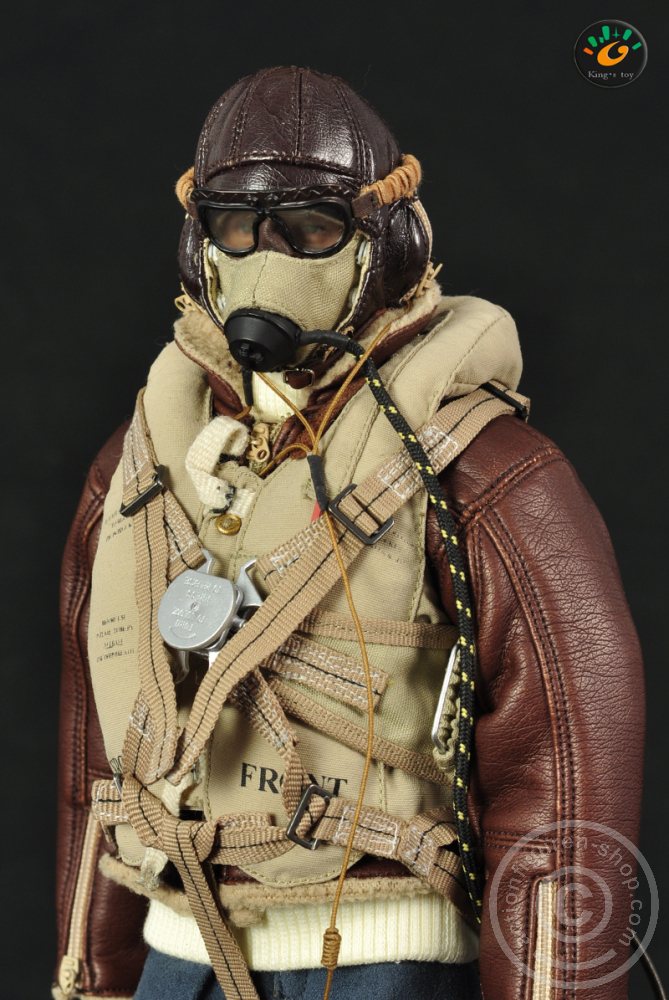 RAF British Pilot