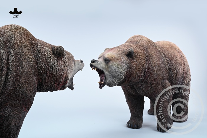 Brown Bear - roaring