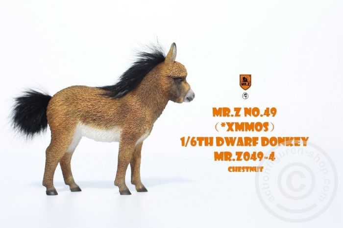 Dwarf Donkey