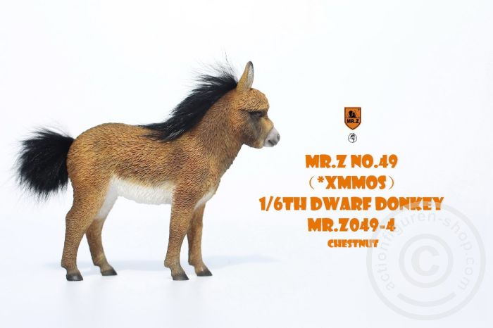 mrz049-4-05OFRoilinlipki Dwarf Donkey