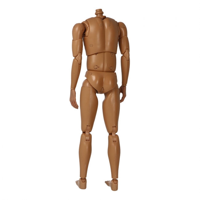 DiD Body w/ 4 Hands
