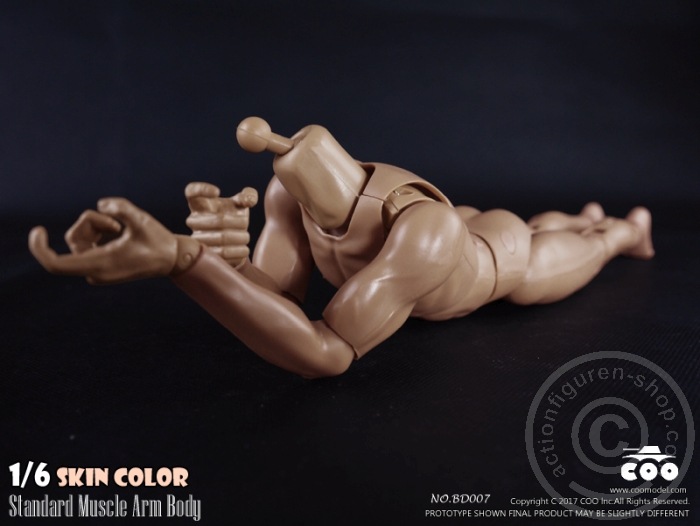 COOBD008-09 Male Body 2.0 - Muscular - 27cm
