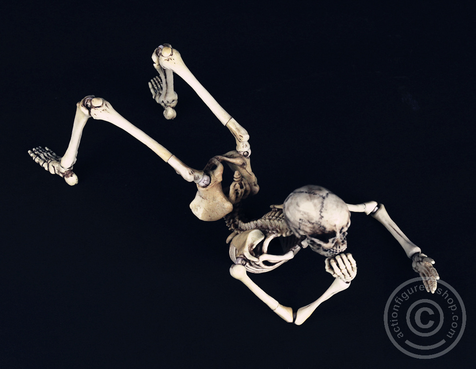 Skeleton Spear Soldier - Human Skeleton in 1:6