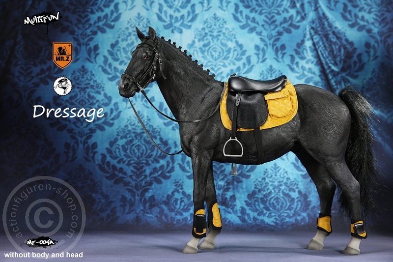 MRZ004A-02 Dressage Set A