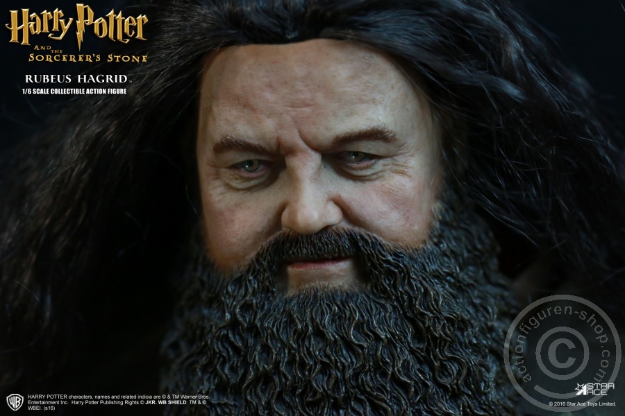 SA024-05EfkNu0SPTuXtM Rubeus Hagrid (Deluxe) - Harry Potter u.d. Stein der Weisen